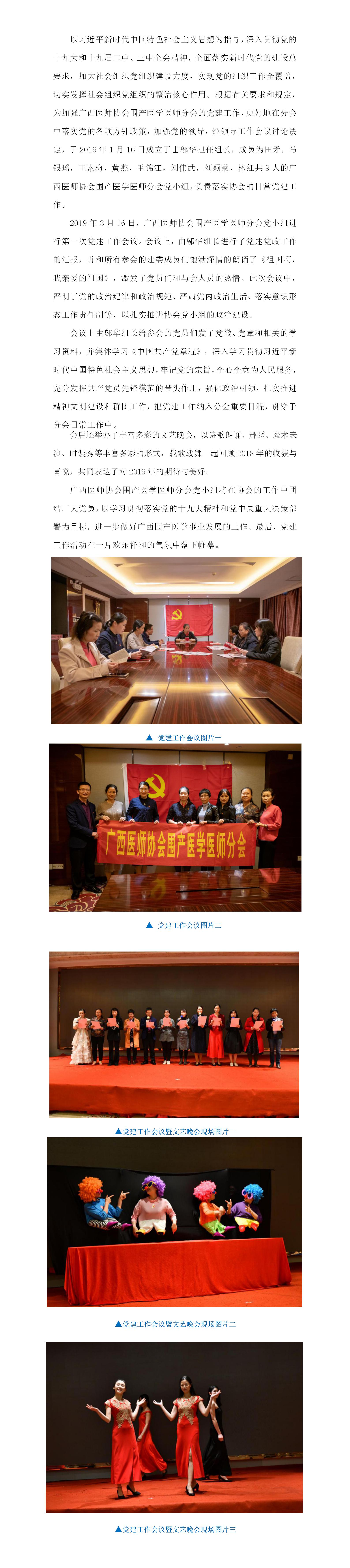 2019.3.16广西医师协会围产医学医师分会召开党建工作会议暨文艺晚会活动.jpg