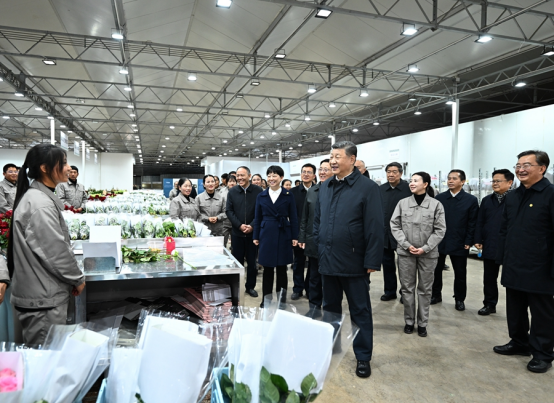 1761182385405365.png image.png